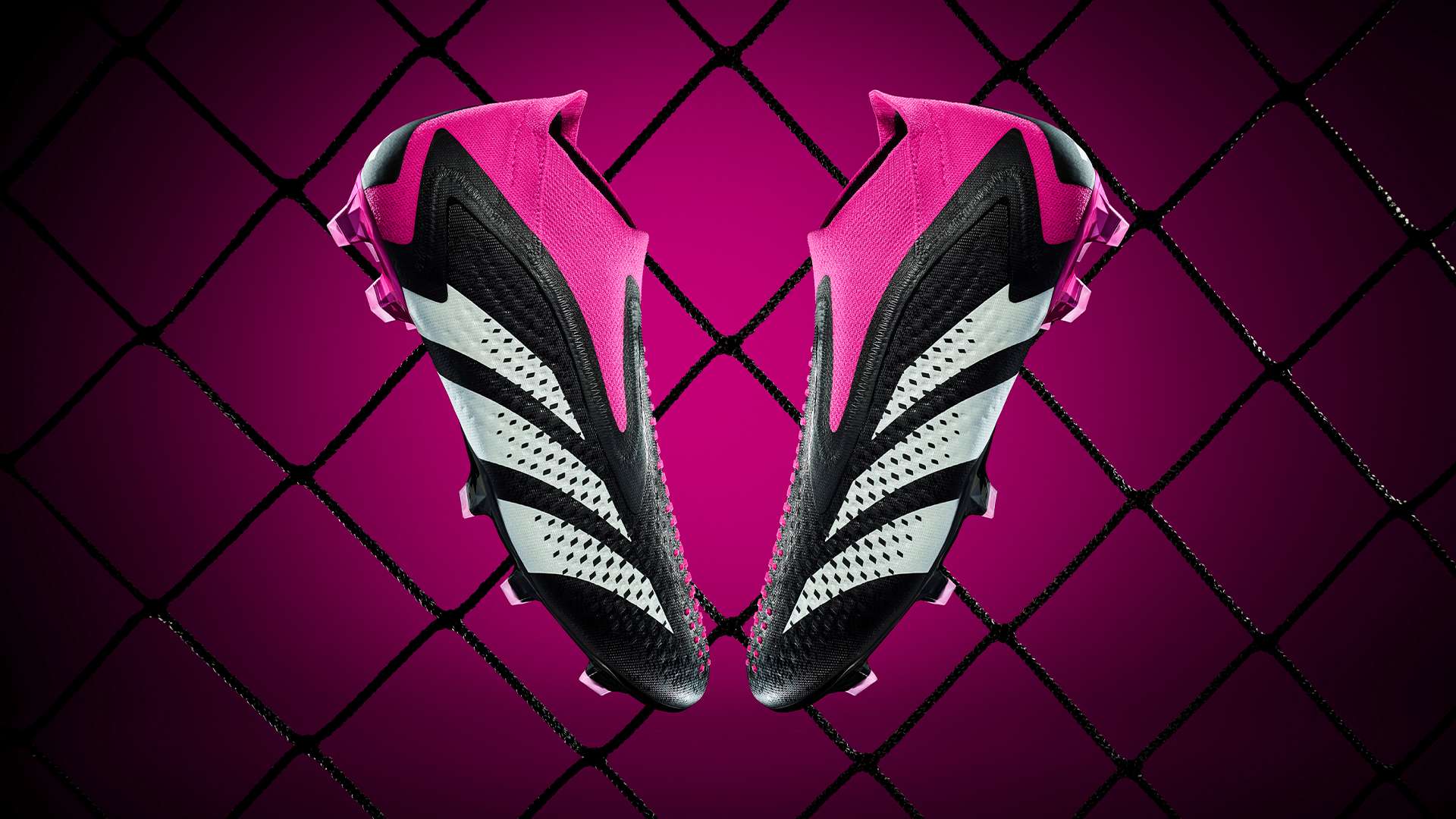 巴萨将继续 巴萨将继续