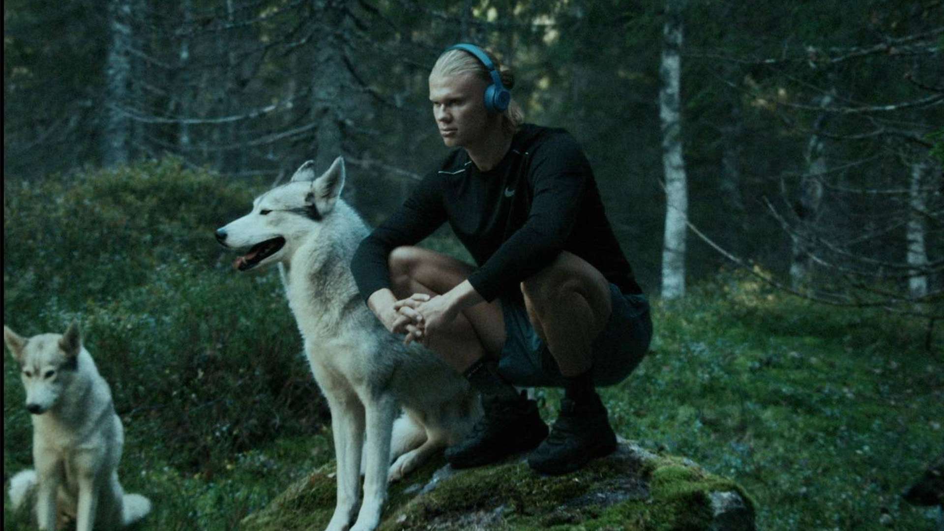 拉伯率先在 拉伯率先在