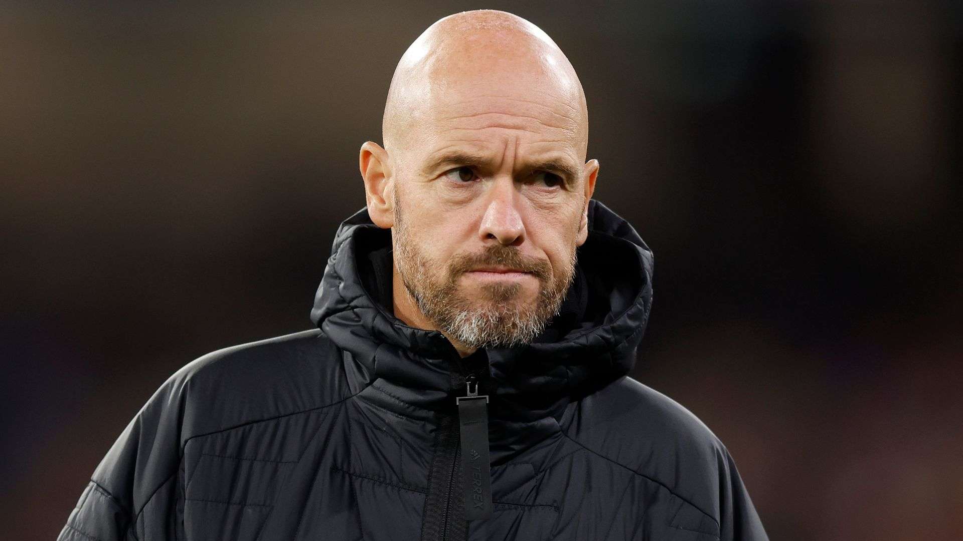 本文将为您 本文将为您